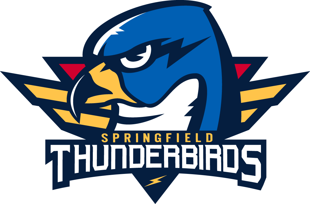 Springfield Thunderbird 2016 17-Pres Primary Logo vinyl decal